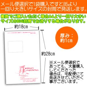 サラシア茶 3g×40包 メール便 送料無料の詳細画像1