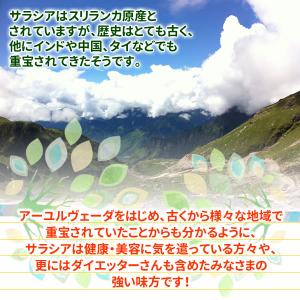サラシア茶 3g×40包 メール便 送料無料の詳細画像4