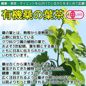桑の葉茶 3g×30pc オーガニック 有機栽...の詳細画像3