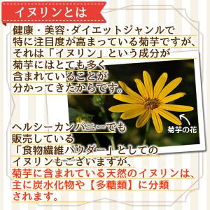 長野県産 菊いも茶 2g×30pc 菊芋茶 国...の詳細画像4