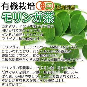 滋賀県産 有機モリンガ茶 2g×30包 オーガ...の詳細画像3
