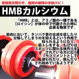 HMB サプリ 300mg×300粒 純度83...の詳細画像3