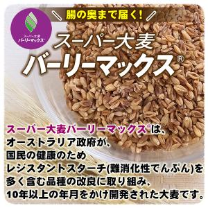 バーリーマックス 900g スーパー大麦 メー...の詳細画像3