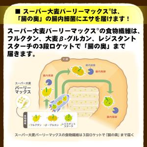 バーリーマックス 900g スーパー大麦 メー...の詳細画像5