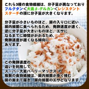 バーリーマックス 900g×3 スーパー大麦 ...の詳細画像4