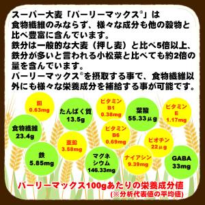 バーリーマックス 900g×3 スーパー大麦 ...の詳細画像5
