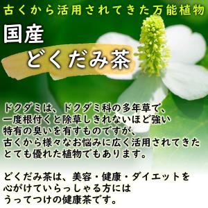国産どくだみ茶 3g×30pc 無農薬 ドクダ...の詳細画像3