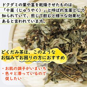 国産どくだみ茶 3g×30pc 無農薬 ドクダ...の詳細画像4