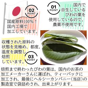 国産 びわの葉茶 3g×30pc ティーバッグ...の詳細画像5