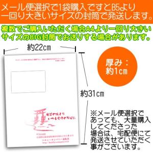 チコリフラクトオリゴ糖 950g 天然チコリ由...の詳細画像2