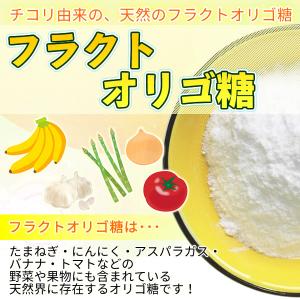 チコリフラクトオリゴ糖 950g 天然チコリ由...の詳細画像3