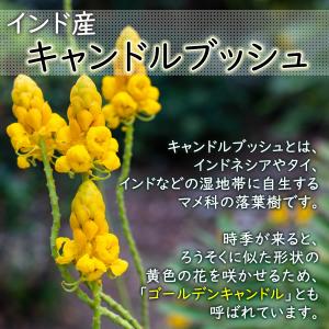 キャンドルブッシュ 2g×35pc お茶 残留...の詳細画像3