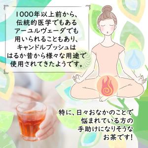 キャンドルブッシュ 2g×35pc お茶 残留...の詳細画像4