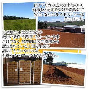 有機栽培 オーガニック ルイボスティー 2g×...の詳細画像5