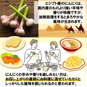有機栽培 オーガニック にんにくパウダー80g...の詳細画像4