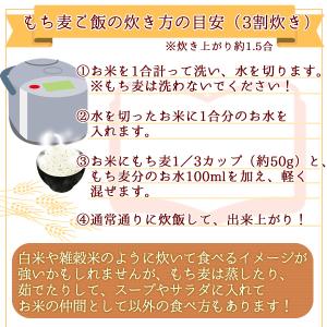 令和7年産 九州産 くすもち二条 5kg( 国...の詳細画像4