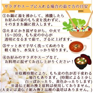 令和7年産 九州産 くすもち二条 5kg( 国...の詳細画像5