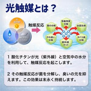 [新色] アスカタオル サラッとドライ フェイ...の詳細画像3