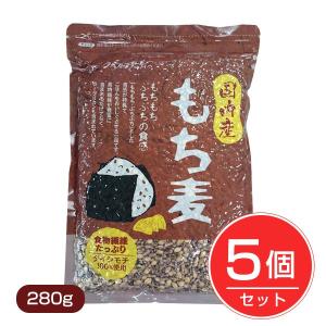 国内産 もち麦 280g×5個セット - ベストアメニティ [国産/国産もち麦]