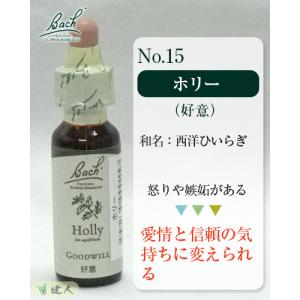 バッチフラワーレメディ ホリー  - プルナマインターナショナル  ネコポス対応商品
