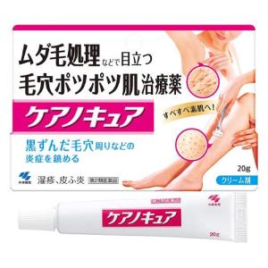 【第2類医薬品】 ケアノキュア　20g - 小林製薬 [セルフメディケーション税制対象] ※ネコポス対応商品 [湿疹/皮膚炎]｜healthy-good