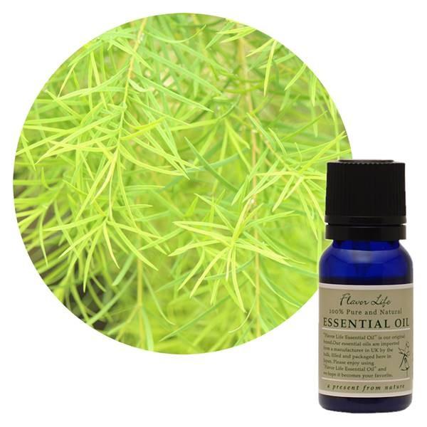 フレーバーライフ社 FL 精油 ティートリー 10ml - フレーバーライフ社 ※メール便対応商品