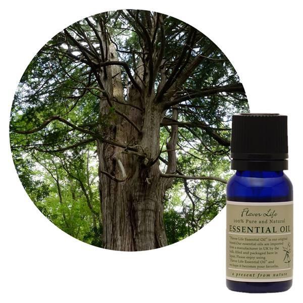 フレーバーライフ社 FL 精油 ヒノキ 10ml - フレーバーライフ社 ※メール便対応商品