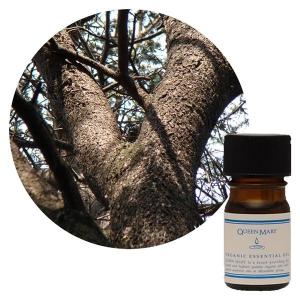 カリス フェンネル スイート オーガニック オイル 100ml (品番：9086