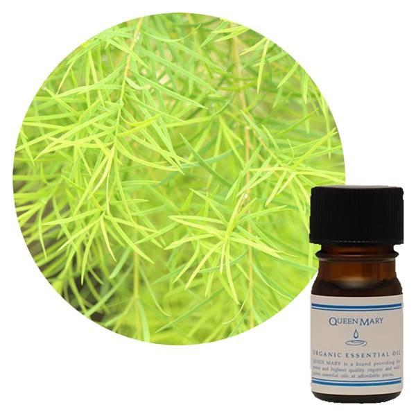 フレーバーライフ社 クイーンメリー 精油 ティートリー 5ml - フレーバーライフ社 ※メール便対...