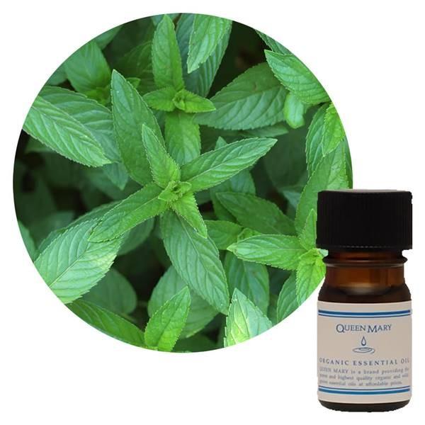 フレーバーライフ社 クイーンメリー 精油 ペパーミント 5ml - フレーバーライフ社 ※メール便対...