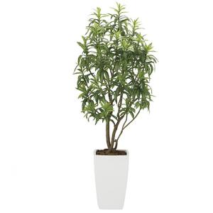 光の楽園 フレッシュドラセナW 品番：2007A800 高さ：180cm  - アートクリエイション