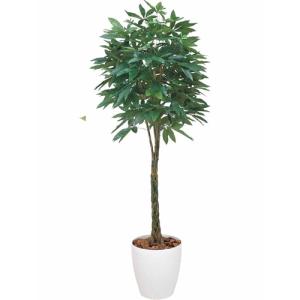 光の楽園  パキラ 品番：140F700 高さ：200cm  - アートクリエイション