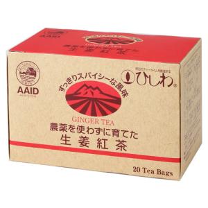 農薬を使わずに育てた生姜紅茶　20袋 - 菱和園｜healthy-good