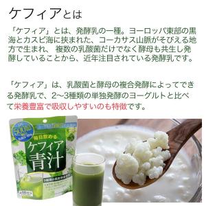 ケフィア青汁 90g×3個セット - コーワリ...の詳細画像2