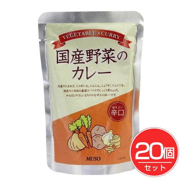 国産野菜のカレー 辛口 200g×20個セット - ムソー