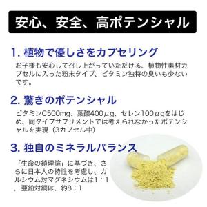 ニューサイエンス マルチミネラル・ビタミン 約...の詳細画像1