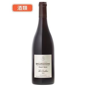 GUILLAUMES シャンパン 750ml ピノ・ノワール フランス シャンパーニュ ドゥロ ブランドノワール 750ml: 成城
