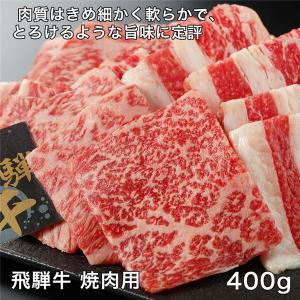 飛騨牛焼肉用　400g - レガーロ 送料無料 [牛肉/国内産]｜healthy-good