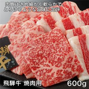 飛騨牛焼肉用　600g - レガーロ 送料無料 [牛肉/国内産]｜healthy-good