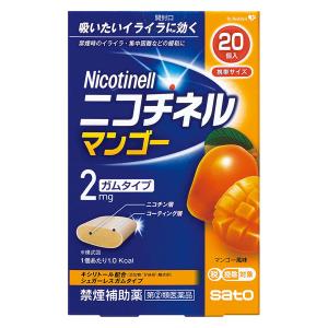 ニコチネルマンゴーの商品画像