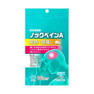 ノックペインＡの商品画像