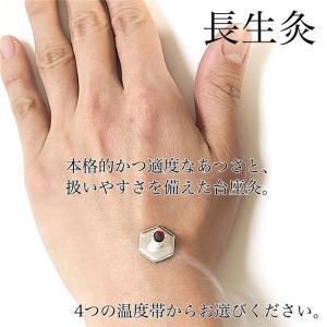 長生灸 (ちょうせいきゅう) ふつう レギュラ...の詳細画像1