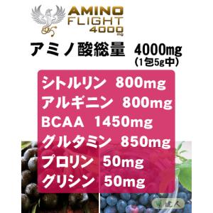 アミノフライト4000mg (AMINO FL...の詳細画像2