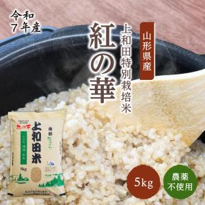 ヒノヒカリ 新米ヒノヒカリ令和7年産 奈良県産ヒノヒカリ 20kg 玄米