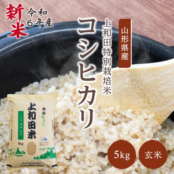 米 コシヒカリ 5kg 減農薬 山形県産 お米 玄米 令和5年産 特A米 特別栽培米 上和田米