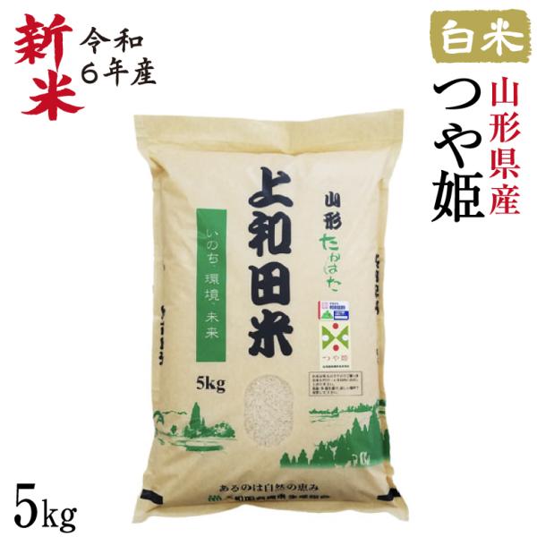 米 つや姫 5kg 減農薬 山形県産 お米 白米 令和5年産 特A米 特別栽培米 上和田米