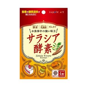 ８袋まで送料１９８円 追跡可能メール便 サプリアート/サラシア酵素80粒