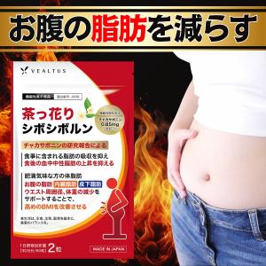 公式ショップ 正規品 3袋セット ボディマスター BODYMASTER HMB NMN