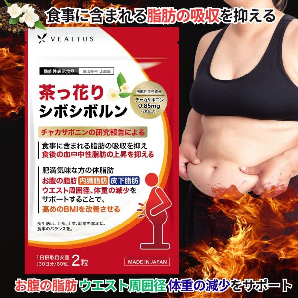 ダイエット サプリ 体重 体脂肪 中性脂肪 内臓脂肪 皮下脂肪 ウエスト周囲径 BMI を減少 脂肪...