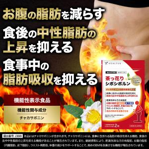 ダイエットサプリ 体重 体脂肪 中性脂肪 内臓...の詳細画像3